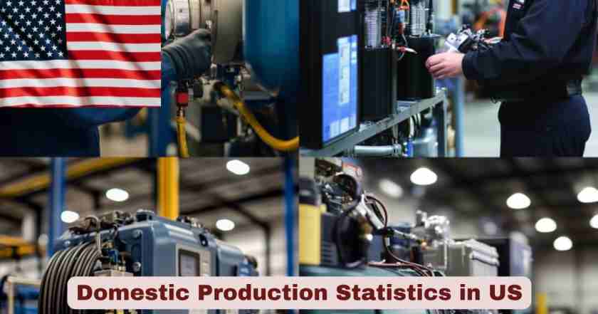 Domestic Production in US