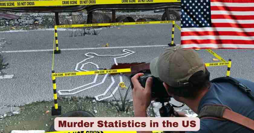 Murder Statistics in the US