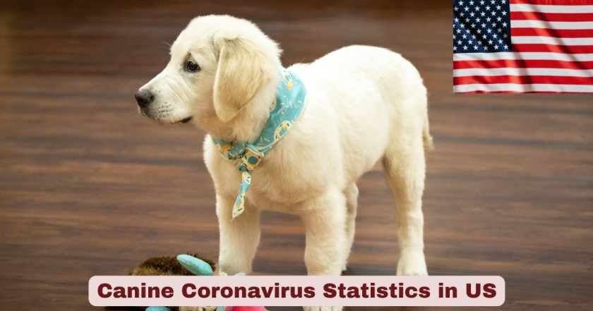 Canine Coronavirus Statistics in US