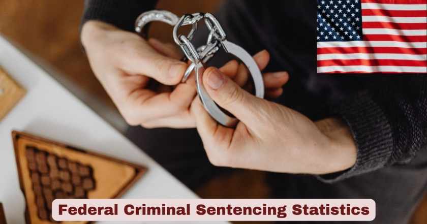 Federal Criminal Sentencing Statistics