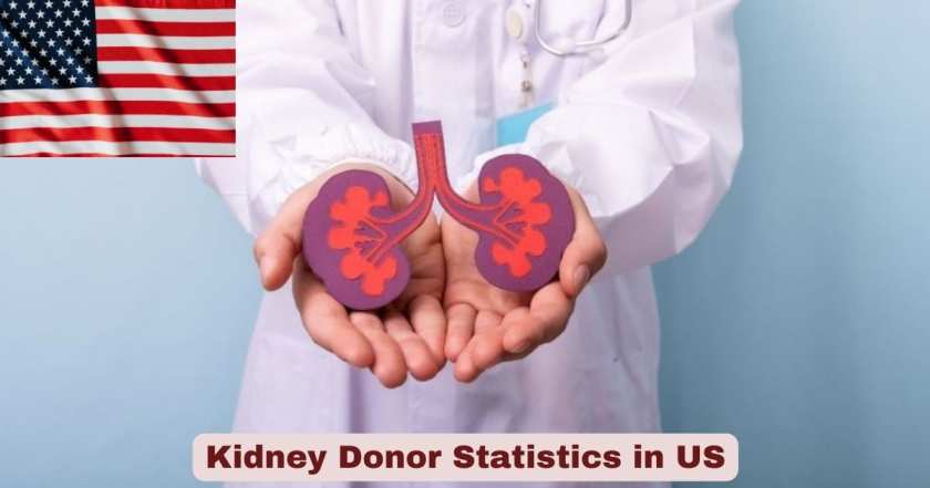 Kidney Donor Statistics in US