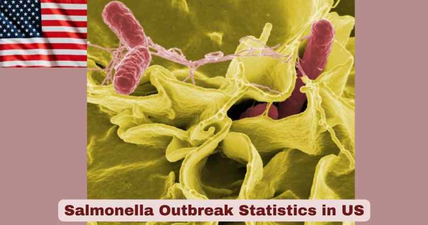 Salmonella Outbreak Statistics in US
